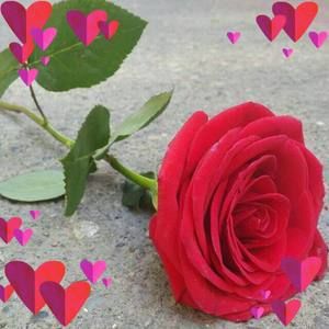 Meet your Posher, Isabel